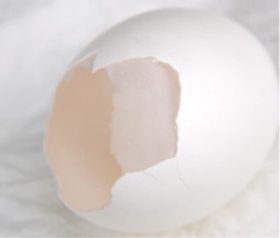 LOX活性卵殻膜とは何？シワ対策に良いって本当？