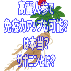 高麗人参で免疫力アップも可能？は本当？サポニンとは？